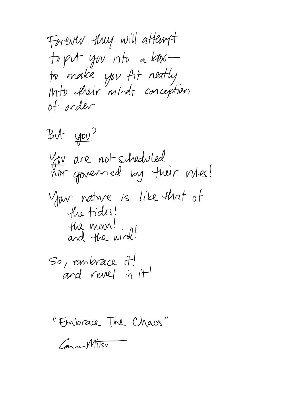 Embrace The Chaos